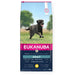 Eukanuba Adult Large Breed Chicken 15 kg - Dry foodDLP-KAS<<<For the dogDLP<<<ActionPL