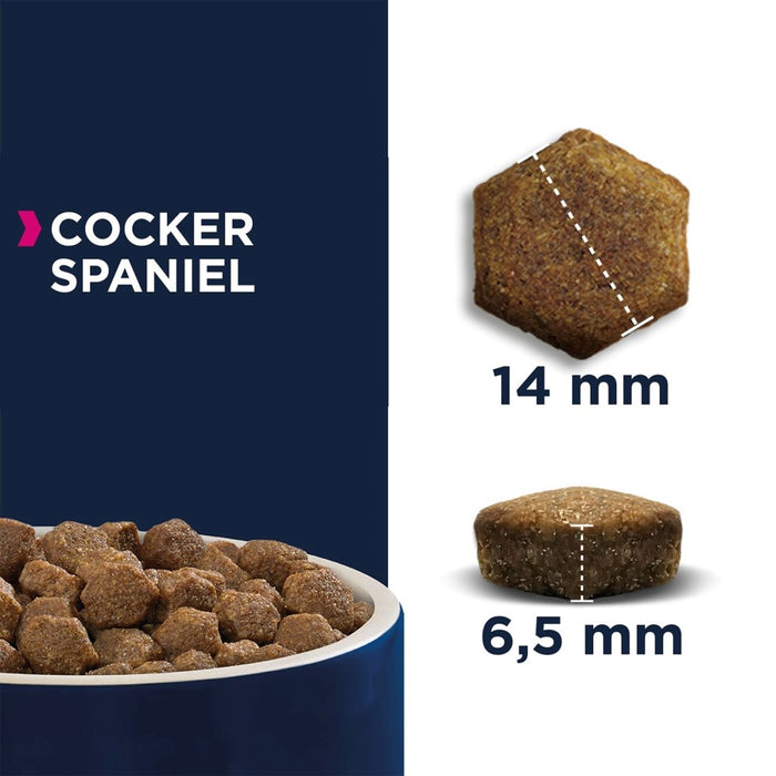 EUKANUBA Breed Specific Cocker Spaniel Adult - dry dog food - 7,5kg