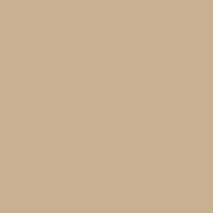 FACADE PAINT COFFEE 4.5 KG PRAKTIKA - Фасадни бои<<<Фасадни бои и мазилки<<<Бои и лакове<<<Praktiker&&&Фасадни