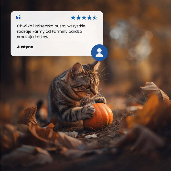 Farmina N&D Cat Duck & Pumpkin  70g