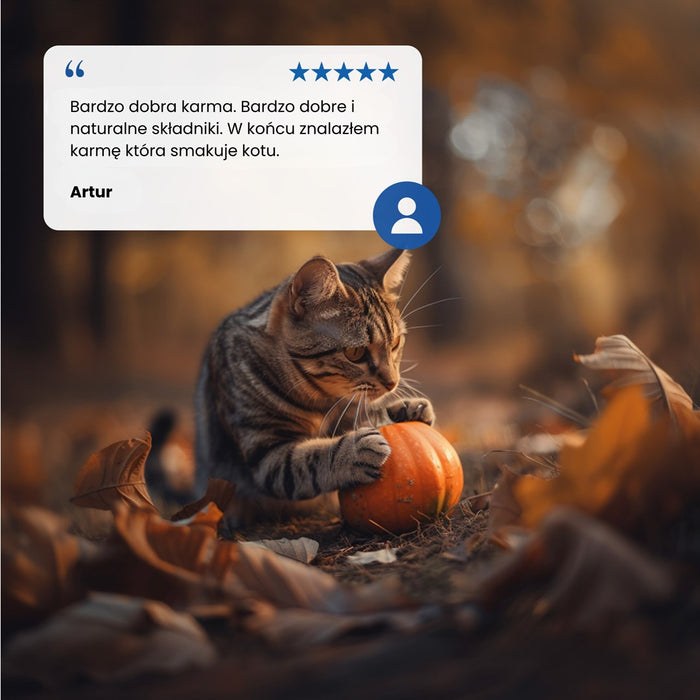 Farmina N&D Cat Duck & Pumpkin  70g