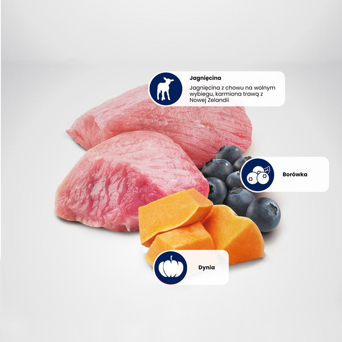 FARMINA N&D GF PUMPKIN DOG LAMB&BLUEBERRY ADULT MINI 7kg
