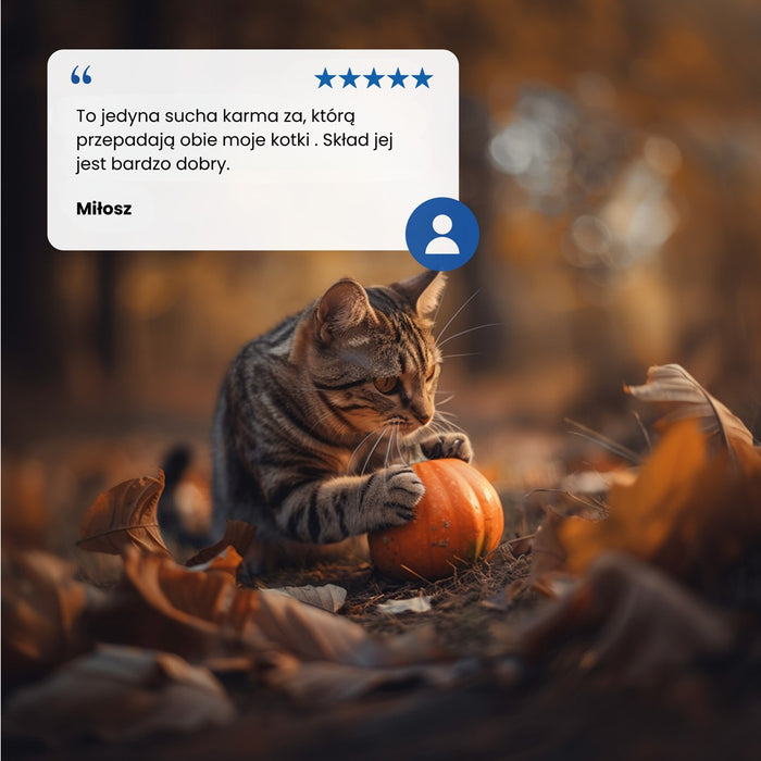 FARMINA Pumpkin N&D Neutered Quail - dry cat food - 5kg