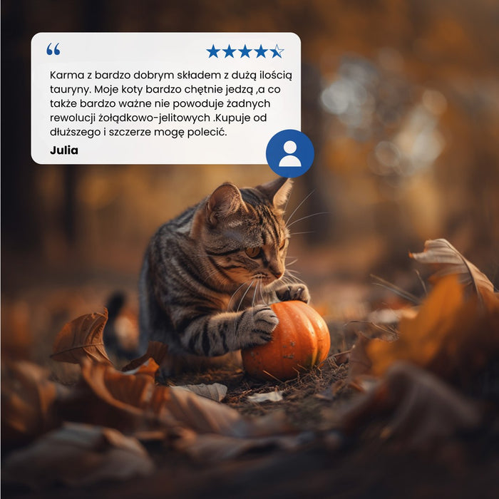 FARMINA Pumpkin N&D Neutered Quail - dry cat food - 5kg