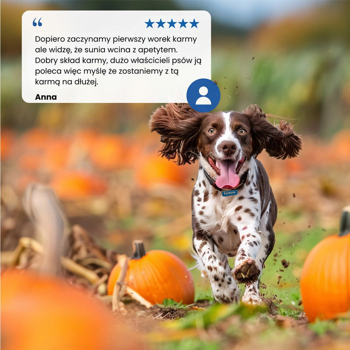 FARMINA N&D Pumpkin Mini Puppy - dry dog food - 2,5 kg