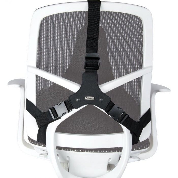 Fellowes Ergonomics professional back support pillow