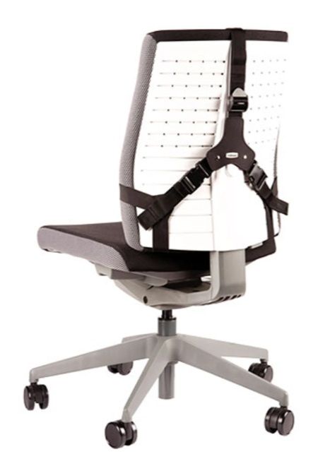 Fellowes Ergonomics professional back support pillow