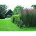 FENCE NETTING 1.5X10M LIGHT FENCE - Мрежи<<<Мрежи и огради<<<Градина<<<Praktiker