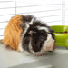 FERPLAST Casita 80 - Cage - CagesDMZ-KLA<<<For small animalsDMZ<<<ActionPL