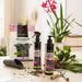FERTILIZER AND GLOSS FOR ORCHIDS 0.25L LECHUZA - Торове<<<Торове почви и тревни смески<<<Градина<<<Praktiker
