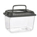 Fish tank Mascow Anthracite Plastic 3 L 17 x 16 x 24 cm With handle Medium (12 Units) - Домашни Животни<<<Дом