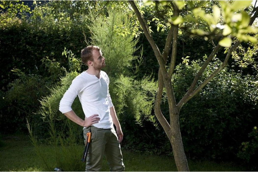 FOLDING BRANCHES SAW 25CM FISKARS