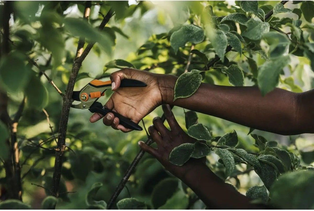 FISKARS SOLID VINEYARD SCISSORS