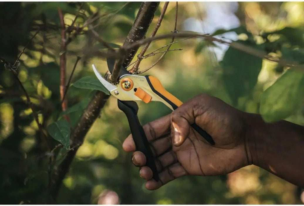 FISKARS SOLID VINEYARD SCISSORS