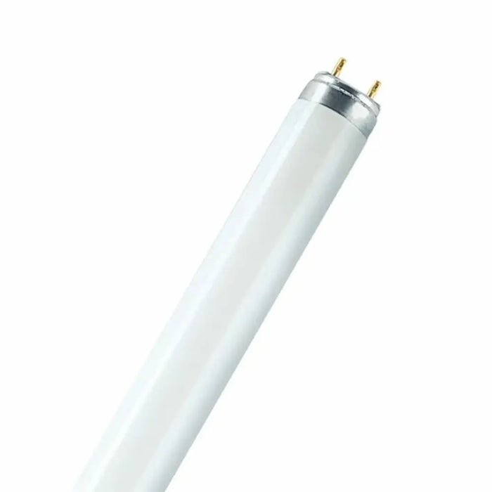 Fluorescent pipe Osram 18 W T8 1300 lm (6500 K) - Електрически Крушки<<<Декорация и Осветление<<<Дом Градина<<<BigBuy