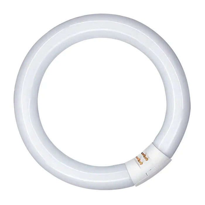 Fluorescent pipe Patron 20 W G10Q (6400 K) - Декорация и Осветление<<<Дом Градина<<<BigBuy&&&Електрически
