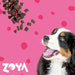 Fodder Zoya Veal 1 kg - Хранене на домашни любимци<<<Домашни Животни<<<Дом Градина<<<BigBuy&&&Dry foodDLP-KAS<<<For