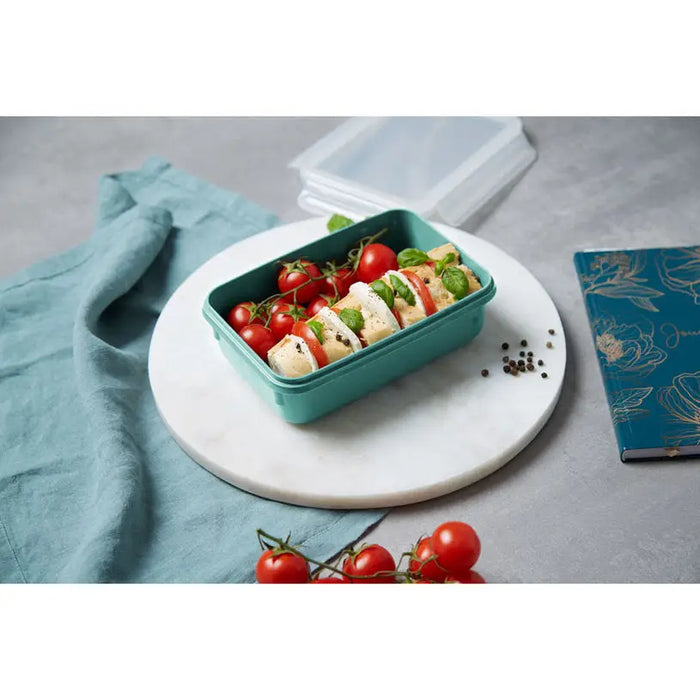 FOOD BOX 0.8 L N1012710 TEFAL MASTERSEAL - Кутии за храна и купи<<<Домашни потреби<<<Кухня<<<Praktiker