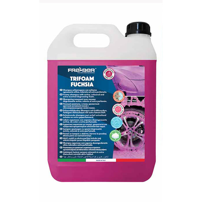 CAR SHAMPOO WITH ACTIVE FOAM 4.54L FRA-BER