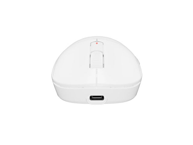 Fury Gaming Mouse Tanto T4 12000DPI Wireless With Software White