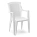 GARDEN CHAIR. PROGARDEN EDEN - Столове<<<Градински мебели<<<Градина<<<Praktiker&&&Столове<<<Градински