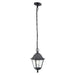 GARDEN HANGING LANTERN 60W E27 IP44 BLACK BELIGHT - Градински фенери<<<Външно