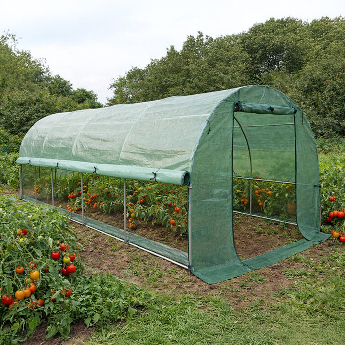 GREENHOUSE 550X300X200CM GARDEN KINGS 414101