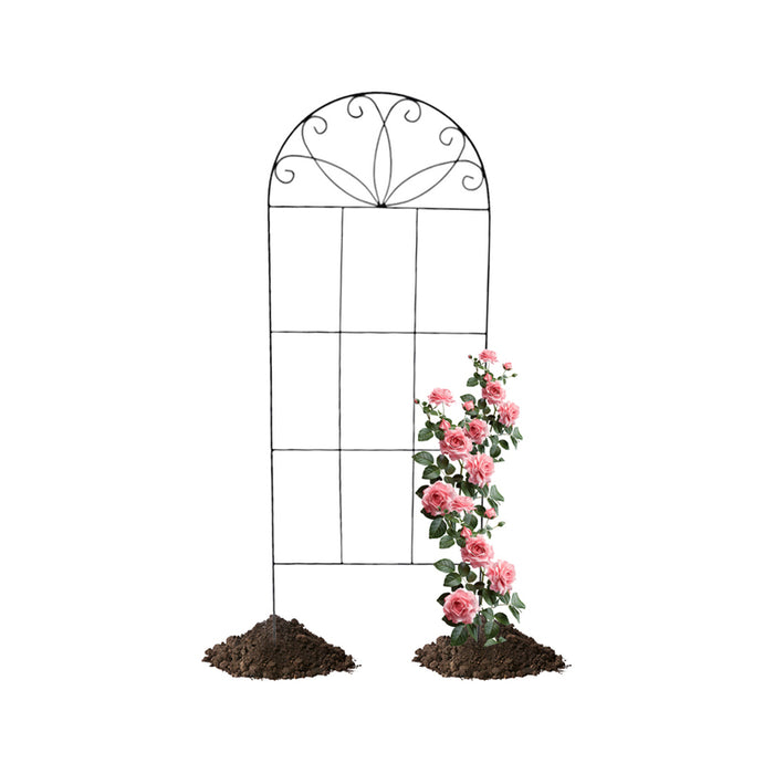 PLANT SUPPORT 122CM GARDEN STAR HD-1629