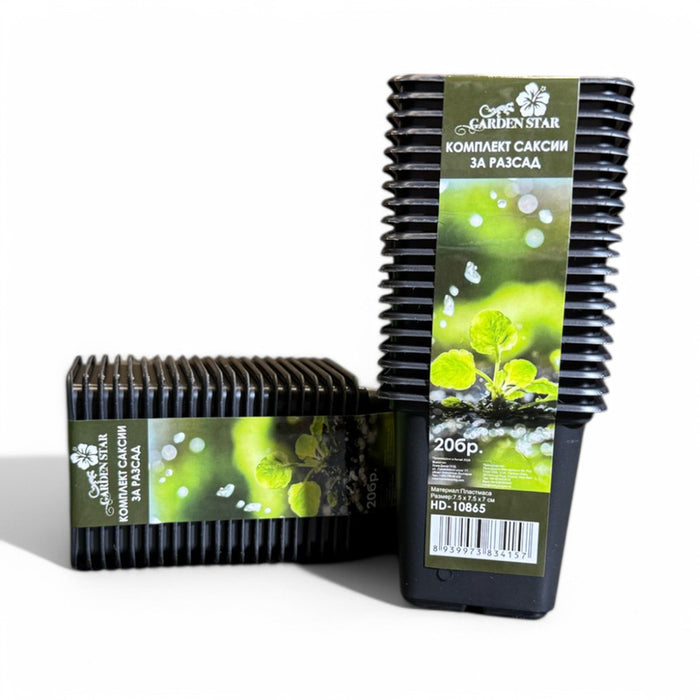 SET OF SEEDLINGS 20PCS GARDEN STAR HD-10864