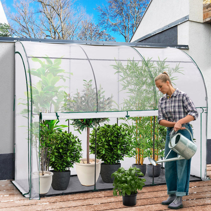 GREENHOUSE 300X100X180CM "WALL, 1 DOOR" GARDEN STAR HD-11431