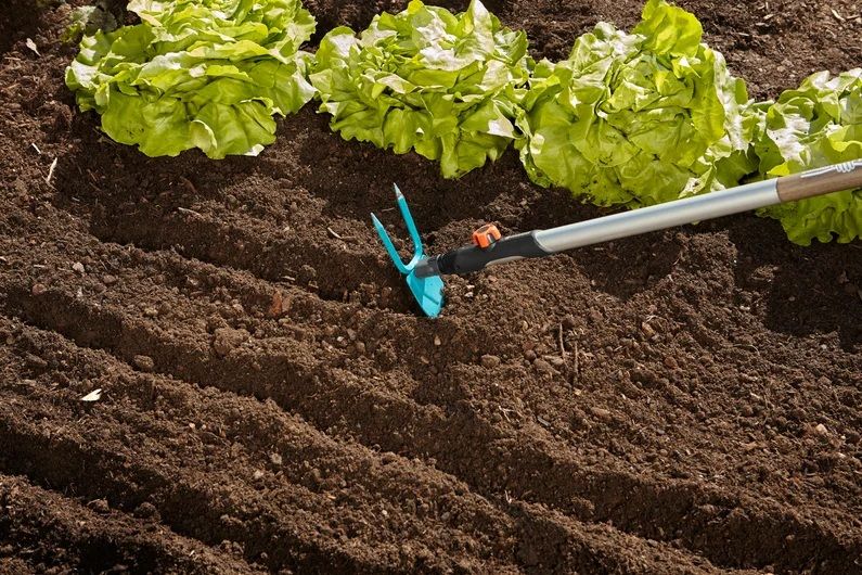 COMBISYSTEM HOE GARDENA 3218