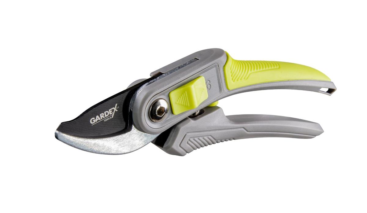 CULTURE GX DIFFERENT VINE SHEARS