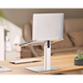 Gembird NBS-D1-02 laptop stand Silver 39.6 cm (15.6’’) - Stands for notebooksCHL-POD<<<CoolingCHL<<<ActionPL