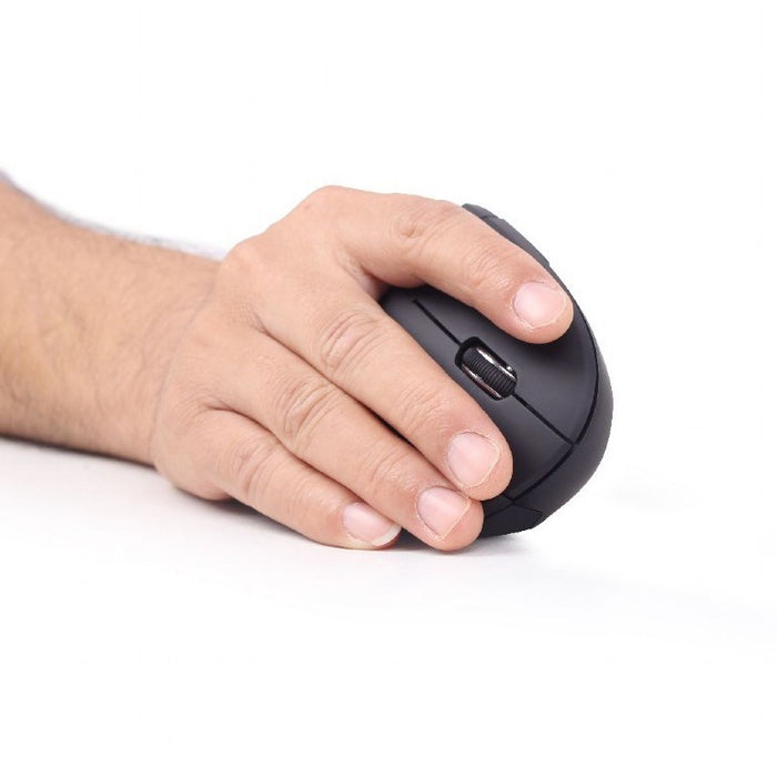 Wireless Mouse GEMBIRD MUSW-ERGO-01 Black (1 Unit)