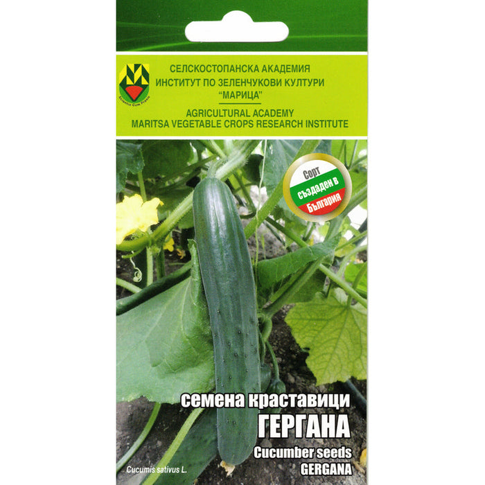 GERGANA CUCUMBER SEEDS IZK MARITSA - Семена<<<Семена луковици и разсад<<<Градина<<<Praktiker