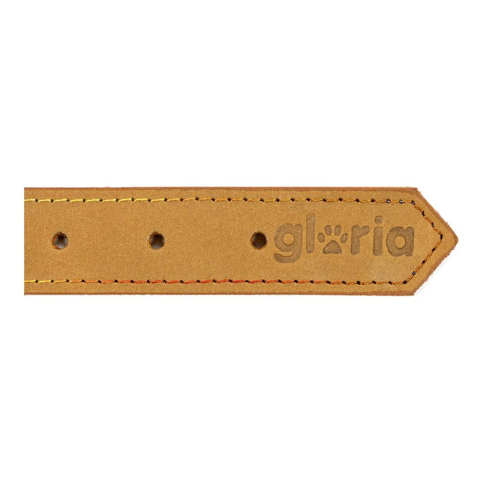 Dog collar Gloria Oasis Yellow (55 x 2,5 cm)