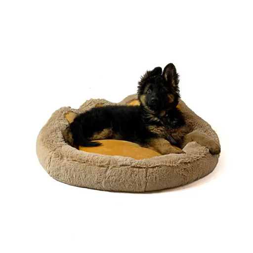 GO GIFT Dog and cat bed L - camel - 55x55 cm - To sleep (universal)DLZ-DSU<<<For petsDLZ<<<ActionPL