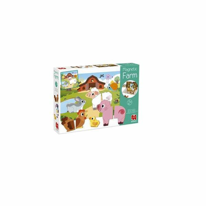 Magnetic Game Goula Cardboard