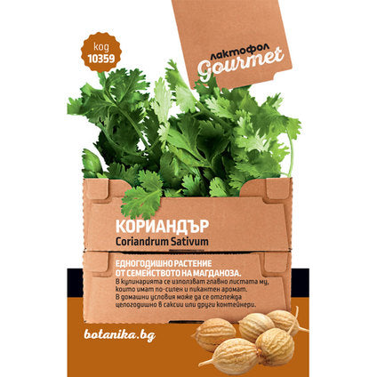 GOURMET CORIANDER SEEDS - Семена<<<Семена луковици и разсад<<<Градина<<<Praktiker
