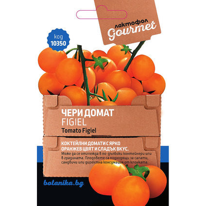 CHERRY TOMATO SEEDS FIGIEL GOURMET