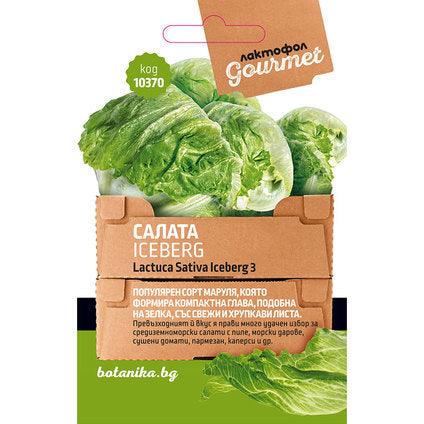 ICEBERG GOURMET SEED SALAD