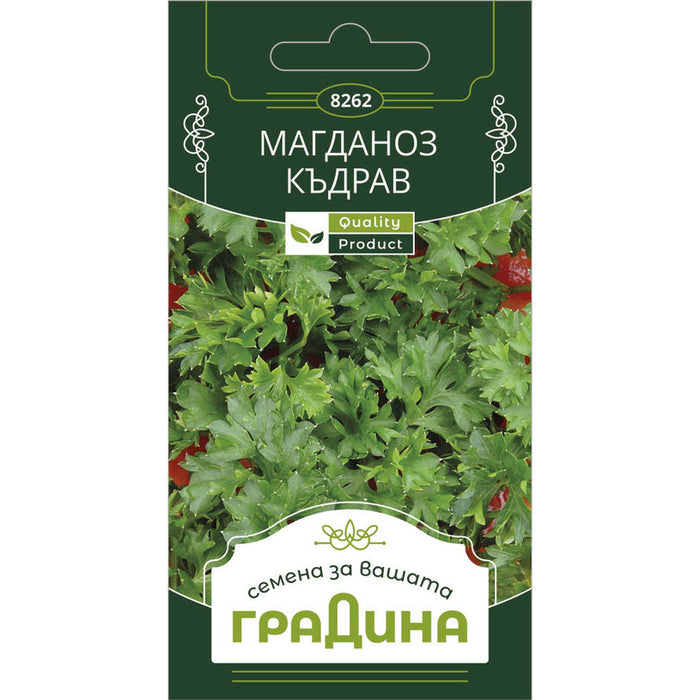 CURLY GARDEN PARSLEY SEEDS