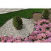 GRASS DIVIDERS 100X4.5CM WITH FIXERS VODALAND 824458.36-12-N - Други инструменти<<<Градински ръчен