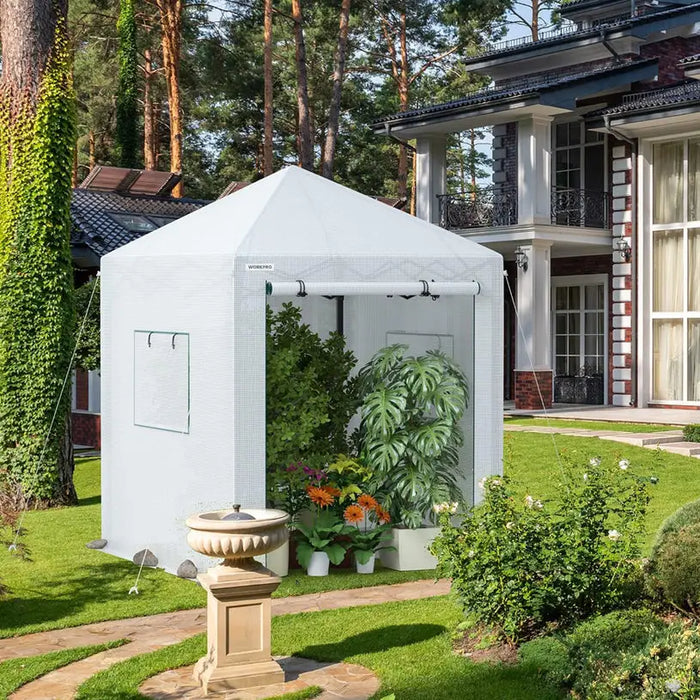 GREENHOUSE FOLDABLE 300X300X270 GARDEN KINGS 419205 POP-UP - Оранжерии<<<Оранжерии и аксесоари за