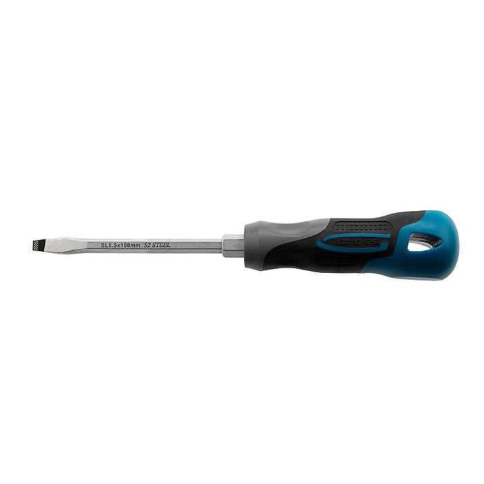 SCREWDRIVER STRAIGHT 5.5X100MM GROSS