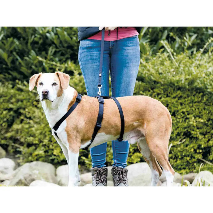 Guide harness for dog Trixie Stay Black L/XL - Домашни Животни<<<Дом Градина<<<BigBuy&&&Пътуване и разходки<<<Домашни