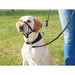 Guide harness for dog Trixie Top Trainer Black XL - Пътуване и разходки<<<Домашни Животни<<<Дом Градина<<<BigBuy