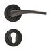 GUMUS BRAVO DOOR HANDLE - Обков за врати<<<Обков<<<Мебели и интериор<<<Praktiker&&&Обков за врати<<<Врати и
