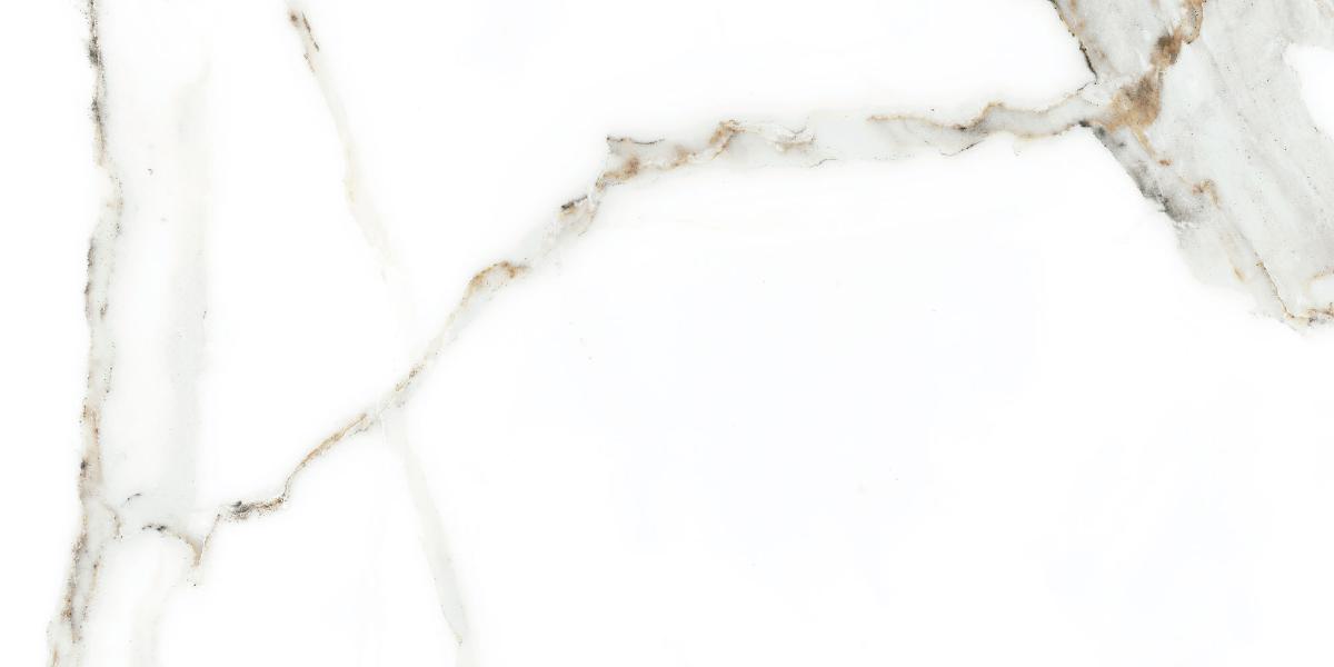 WALL TILE 25X50 DELPHI WHITE