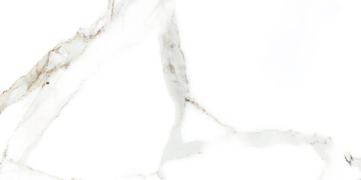 WALL TILE 25X50 DELPHI WHITE